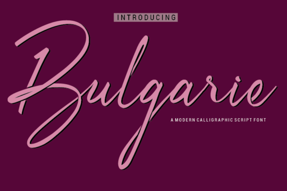 Bulgarie Font for Branding That Feels Timeless