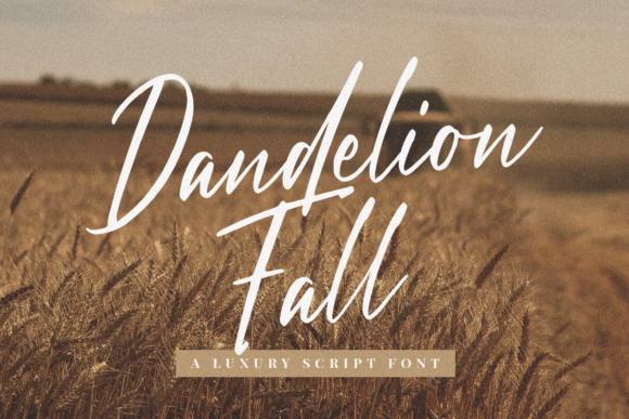 Dandelion Fall: A Handwritten Font for Modern Editorial Design