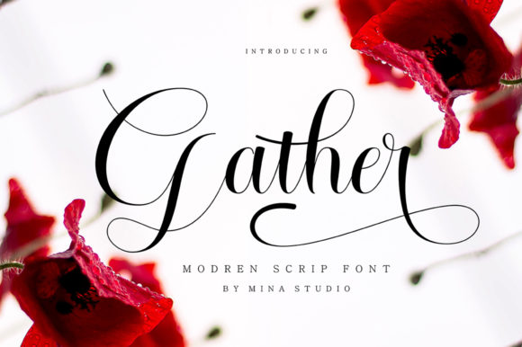 Gather Script Font Review for Real Projects