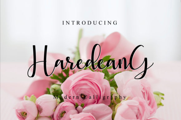 Haredeang Script Font for Web Design