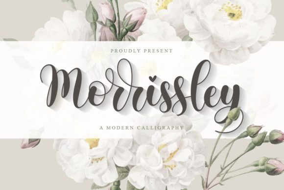 Morrissley Script Font Review