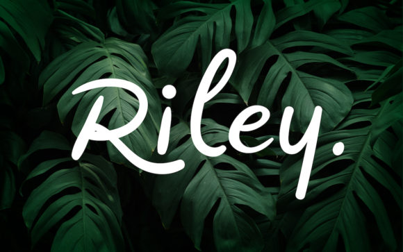 Riley Font: A Handwritten Touch for Branding