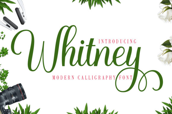 Whitney: A Font That Transformed My Brand’s Visual Story